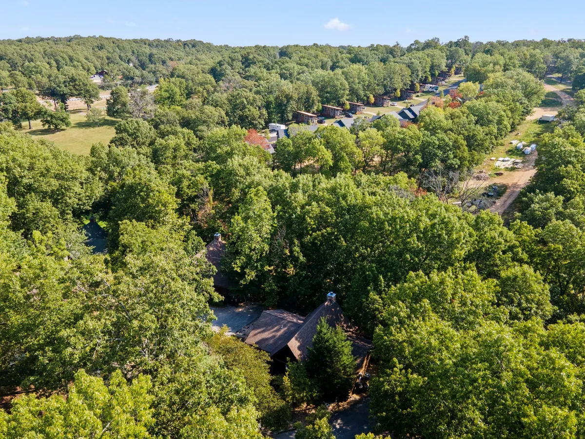This image depicts a wide, open grassy area surrounded by a lush canopy of trees and nearby rooftops, evoking the peacefulness and spaciousness of the resort's grounds. The scene suggests ample space for outdoor activities like hiking, picnicking, and exploring nature with pets.