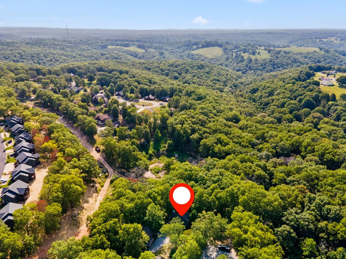 A sweeping view of dense forest with a winding road leading through a residential area. The scene evokes a sense of exploration and adventure, with the road hinting at travel and discovery in the natural beauty of the Ozarks.