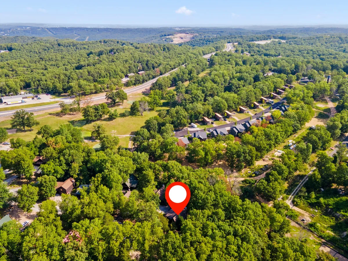 A serene view of dense greenery and scattered cabins with a winding road, evoking the tranquility and natural beauty of the Ozarks. The landscape suggests opportunities for exploration, stargazing, and peaceful walks together.