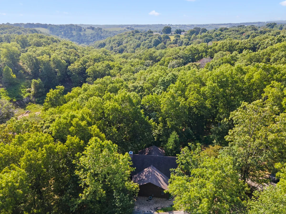 The scene showcases the serene Ozark landscape from a slightly elevated perspective, with the home’s roof peeking through a backdrop of lush trees and an expansive, tranquil environment. This image captures the natural beauty and sense of adventure available just outside the cabin.